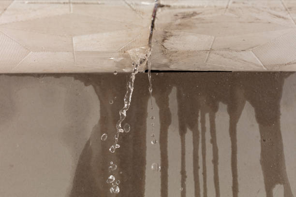 Professional Sewage Cleanup technician working in New Lenox, IL